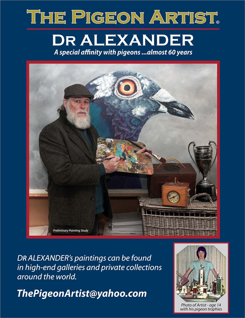 the pigeon artist poster